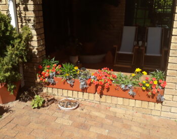 spring garden