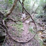 Kalanderkloof hiking trail